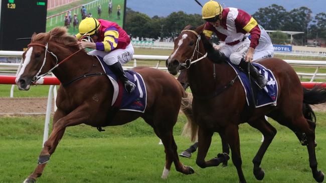 Heavy track specialist Mr Mozart (left) is ready to soar in the Silver Eagle. Picture: Grant Guy