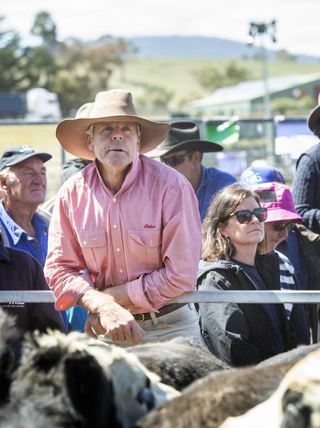 Prices were pushed even further at recent markets in Victoria’s west. PICTURE: Zoe Phillips