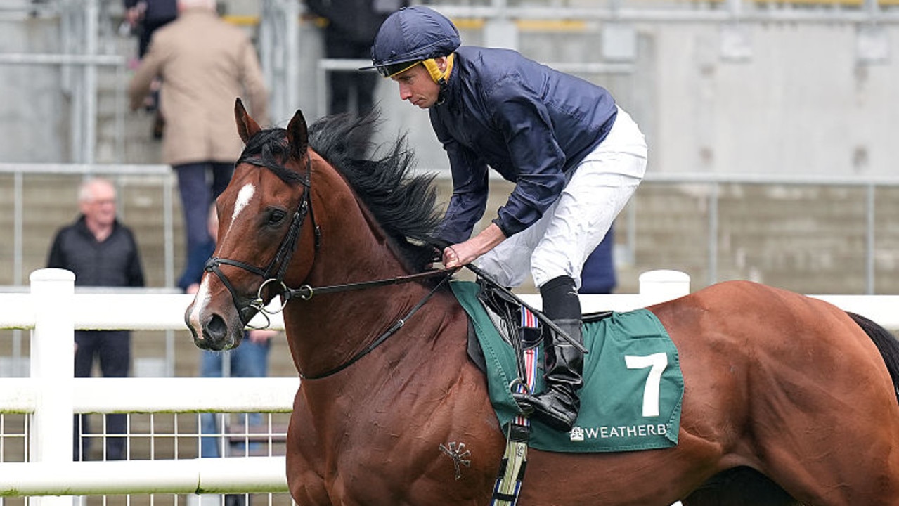 Coolmore backs O’Brien to pull off Storm Boy masterstroke