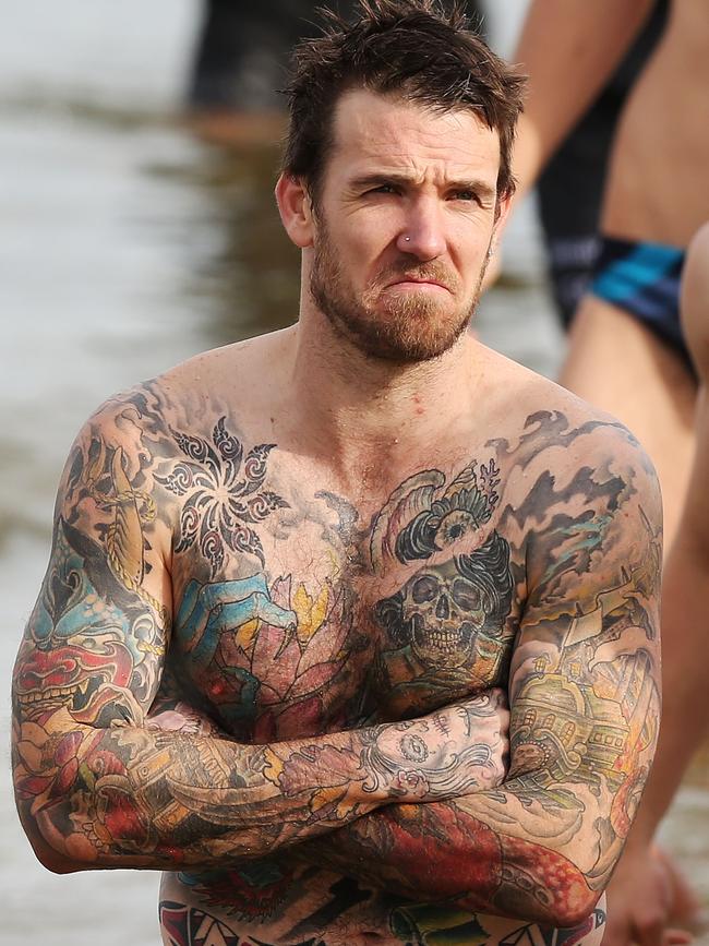 Swan during a recovery session at St Kilda Beach in 2014. Photo: Michael Dodge/Getty Images