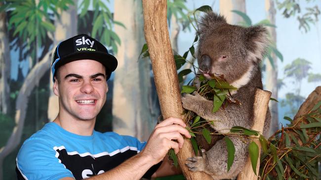 2015 MotoGP at Phillip Island - Romano Fenati with a koala before the 2015 Phillip Island GP. Picture: Mark Stewart