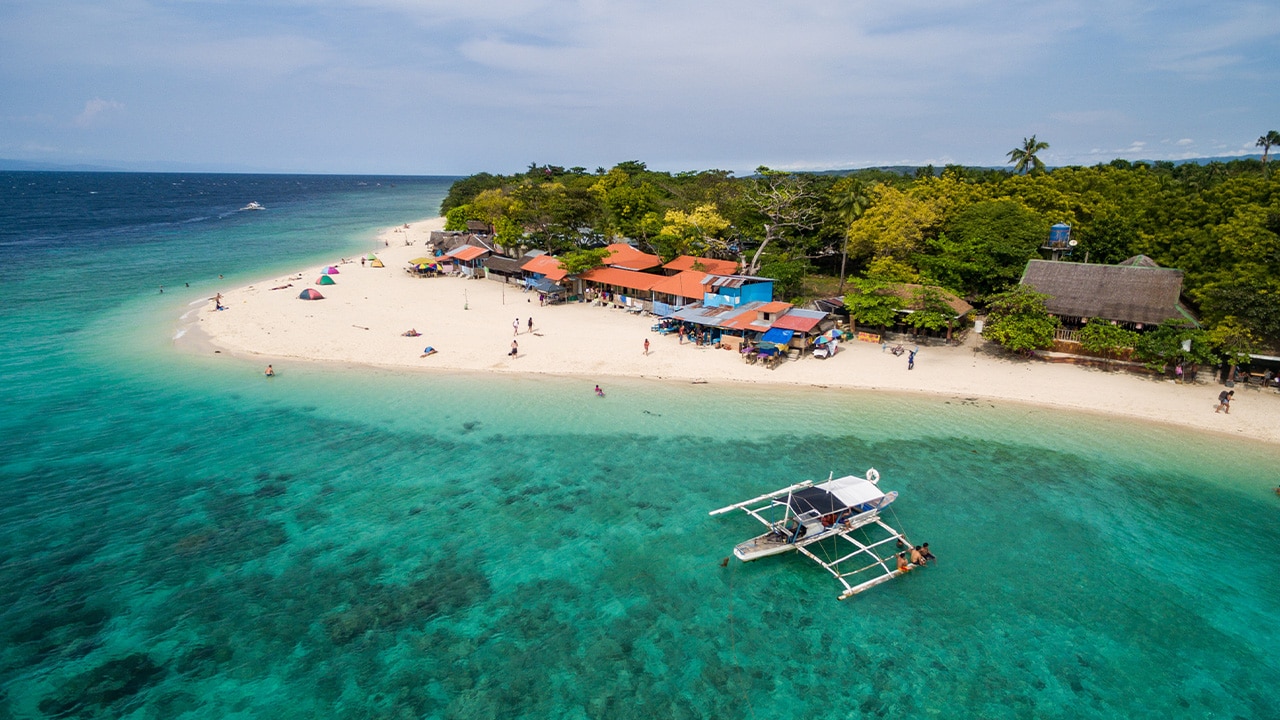 '<h3>The hot spot: Cebu</h3>
<p>Beaches, waterfalls and sardines: at Moalboal in Cebu you can swim with millions of them as they swirl around you in a silvery, shimmery dance.</p>
<p><strong>Where to stay:</strong> The <a href='https://travel.escape.com.au/accommodation/detail/dolphin-house?HotelCode=017441465' target='_blank' rel='noopener'>Dolphin House</a> has spacious rooms, bungalows and a private villa, along with dive instructors and a scuba program.</p>
<p><strong>Where to eat:</strong> Enjoy healthy bites at the vegetarian and vegan <a href='https://www.facebook.com/venzkitchen/' target='_blank' rel='noopener'>VEN&rsquo;Z Kitchen</a>.</p>
<p><strong>Tip:</strong> Make sure you have cash and break anything bigger than a 1000 peso ($26) note as soon as you can.</p>'