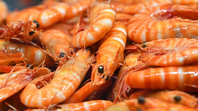 Fresh prawns are back on the menu as prices drop since Christmas. Picture: AAP/James Ross