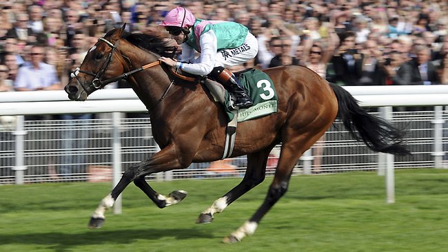 English champion Frankel to cover Aussie broodmares | Daily Telegraph