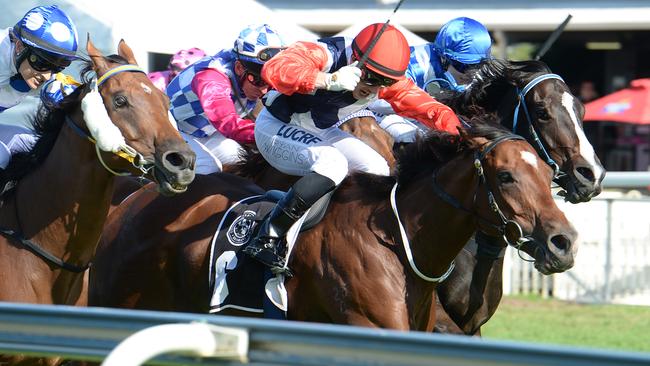 My Little Flicka winning at Doomben. Picture: Grant Peters, Trackside Photography