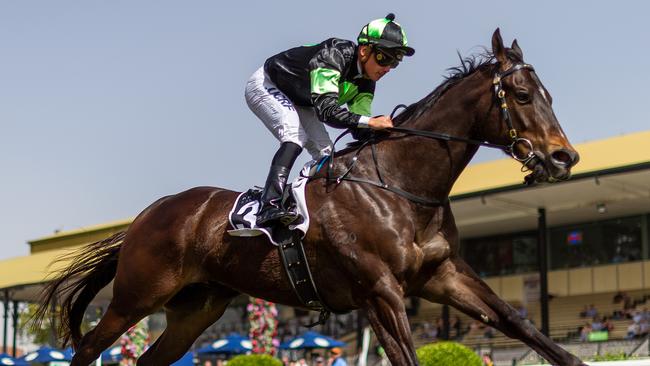 O’Dea has opted to run Scallopini in the Sprint rather than the Cup. Picture: AAP