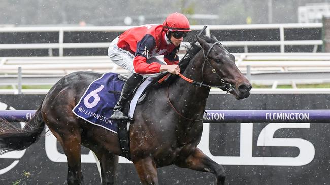 Impressive debut winner Doull returns at Flemington on Saturday. Picture: Racing Photos via Getty Images