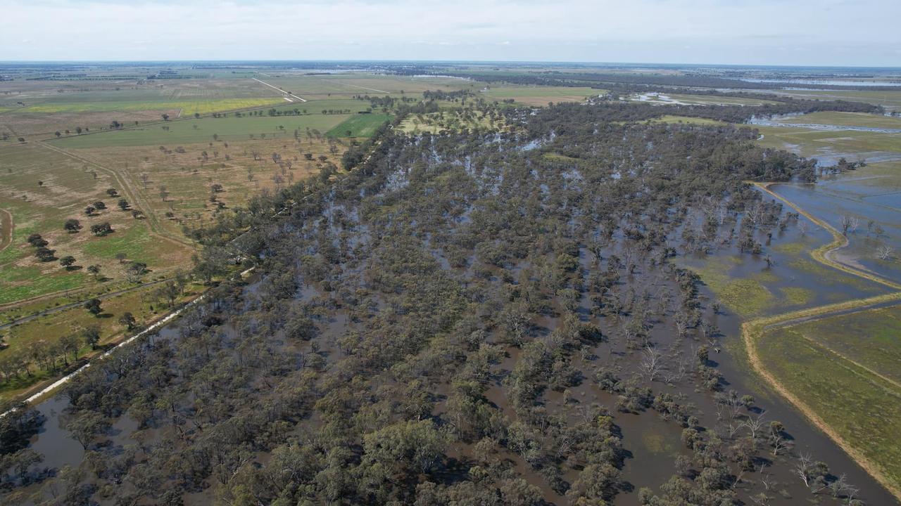 Floodwaters from the Loddon River approach Kerang. Picture: Dennis Greenwood/Supplied