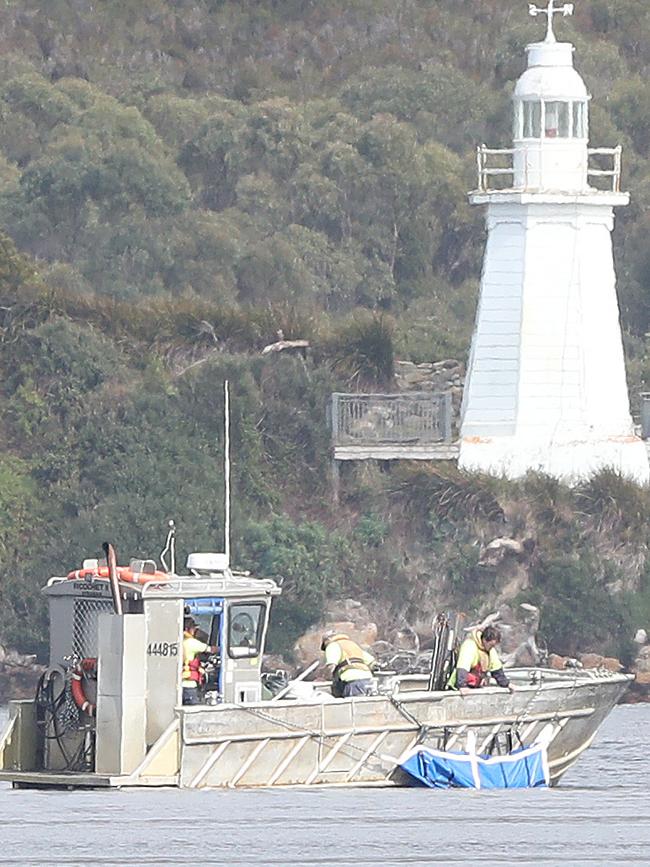 Rescued whales being taken by boat for release. Stranding of over 200 pilot whales at Macquarie Heads near Strahan Tasmania. Picture: Nikki Davis-Jones