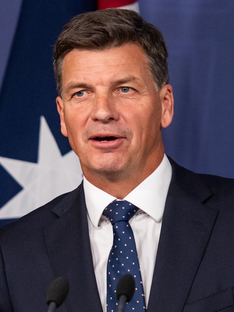 Angus Taylor. Picture: NewsWire/Monique Harmer