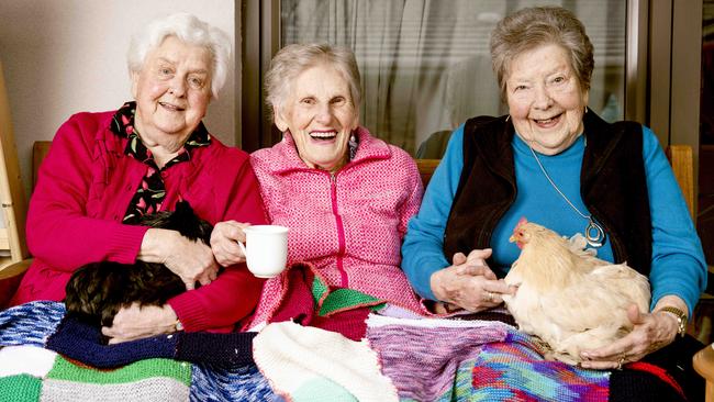 Ruby Burt, Jessie Williams and Rosina Croney with their healing hens Penny, Freckles and Henrietta. Picture: Nicole Cleary