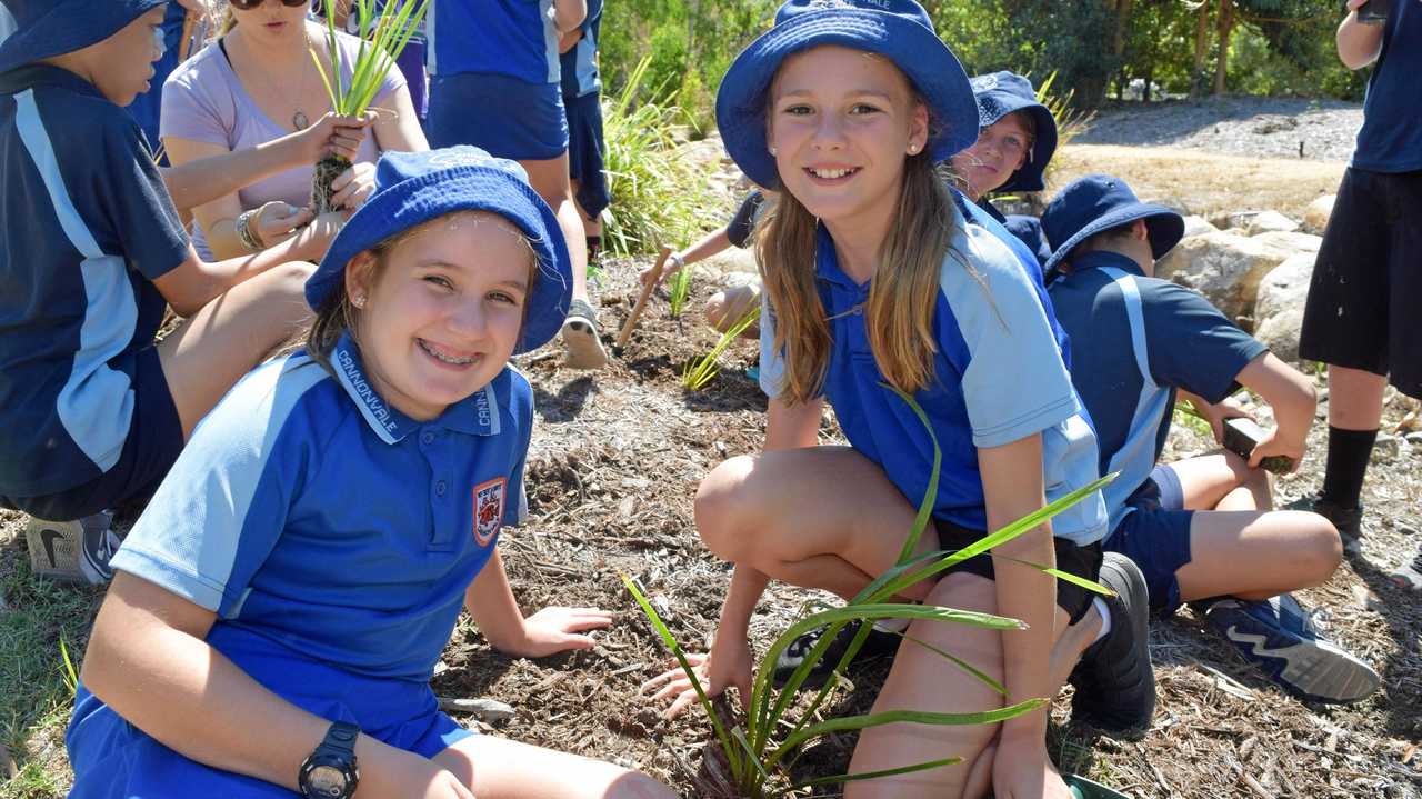 Students across Whitsundays take up Eco Challenge | The Courier Mail
