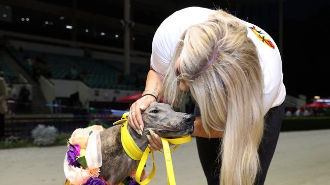 Victa Damian will represent Ladbrokes in the Sandgroper at Cannington on April 14