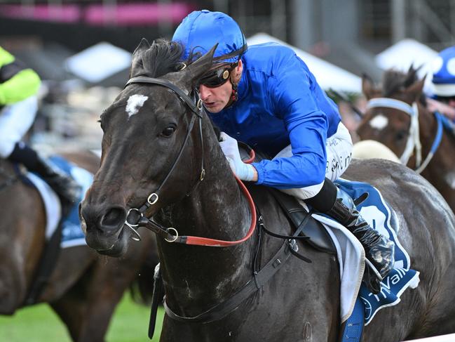 MELBOURNE, AUSTRALIA - SEPTEMBER 07: Blake Shinn riding Pericles winning Race 8, the Rexel Electrical So You Think Stakes - Betting Odds  during Melbourne Racing at Moonee Valley Racecourse on September 07, 2024 in Melbourne, Australia. (Photo by Vince Caligiuri/Getty Images)