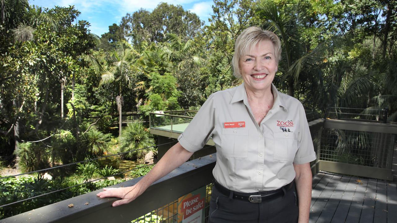 ZoosSA CEO Elaine Bensted was named Jobs Statewide Leader of the Year. Picture Dean Martin