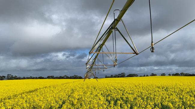 The Rowett family have sold their 3900ha Kynoch portfolio.