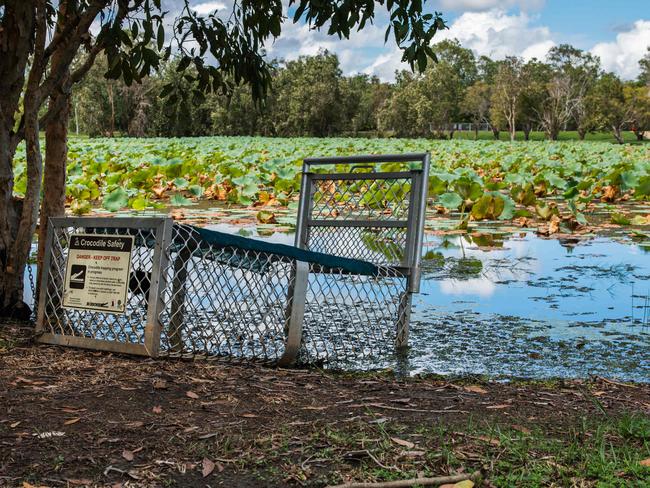 A one metre crocodile was reported at the Marlow Lagoon Dog Park on January 23, 2025, leaving the council to set up a number of crocodile traps and signs. Picture: Pema Tamang Pakhrin