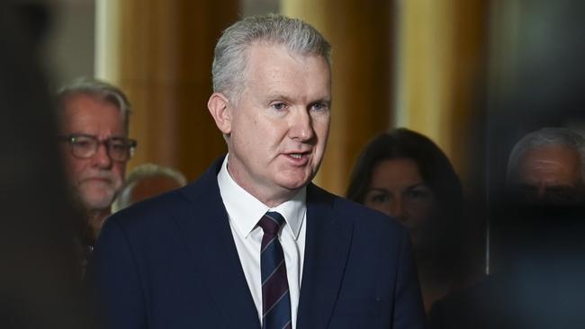 Employment Minister Tony Burke has condemned anti-Semitism in his Watson electorate. Picture: Martin Ollman