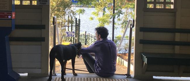 Bulimba dog owner Paul Liddy is hoping the day is not too far away when dogs can travel on the city's ferries. 