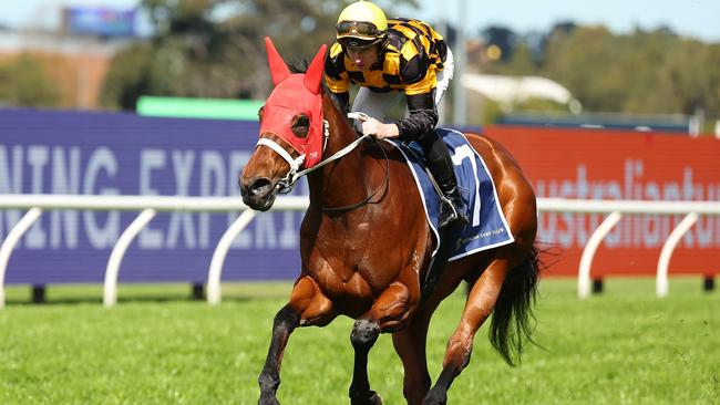 Joliestar at an exhibition run at Rosehill Gardens in August Picture: Getty Images