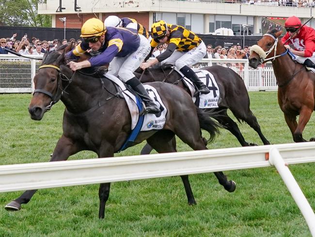 Coeur Volante (NZ) ridden by Blake Shinn wins the Manhari Metals Thousand Guineas Prelude at Caulfield Racecourse on October 21, 2023 in Caulfield, Australia. (Photo by Reg Ryan/Racing Photos via Getty Images)