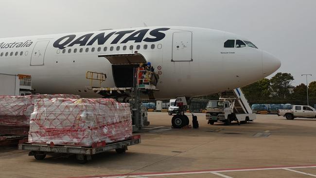 With passenger flights few and far between, freight-only flights have become increasingly important to airlines like Qantas in the current COVID crisis. Picture: Supplied