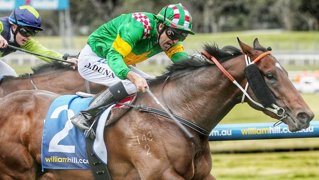 Snoopy looks well placed to be in the finish on Saturday. Picture: Colleen Petch
