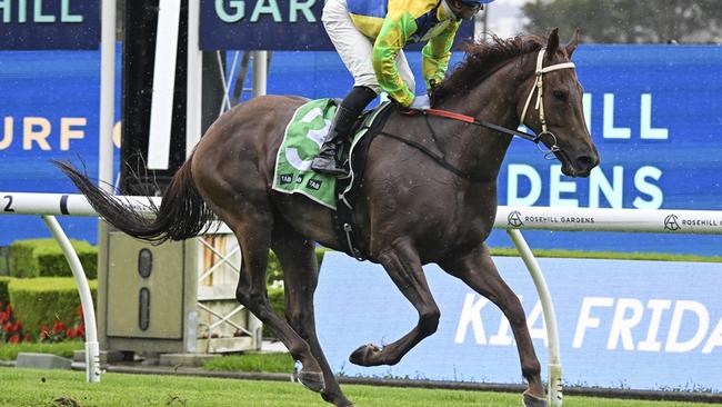 Sunchyme is the first Keith Dryden-trained runner to contest the Country Championships Final. Picture: Bradley Photos