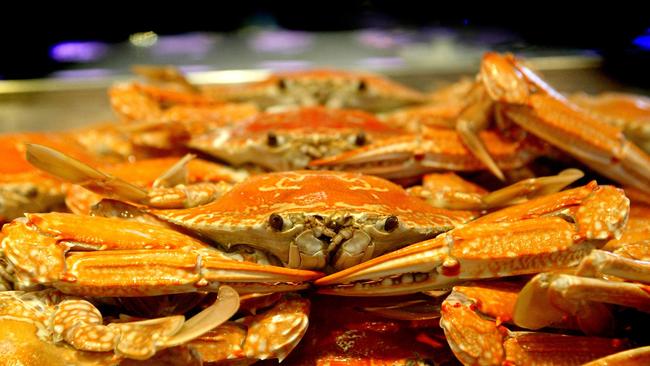 Fresh crabs from Morgan's Seafood market in Scarborough.