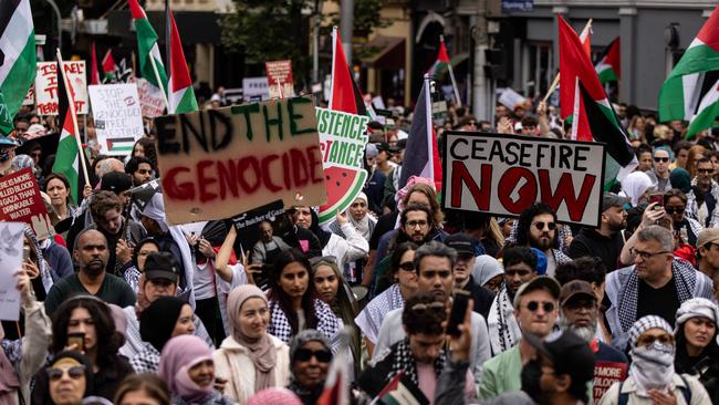 Pro-Palestine supporters have been rallying almost every weekend. Picture: NCA NewsWire / Diego Fedele