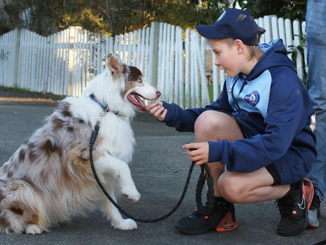 Leo Durman was reunited with Bowie on Friday. Picture: Toni Fuller Imagery