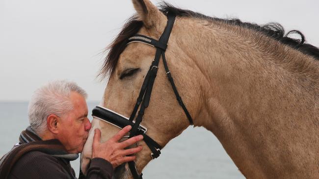 Daryl Braithwaite with Bailey from the Blinkbonnie Equestrian Centre to mark 25 years since The Horses became a huge hit. Picture: Alex Coppel