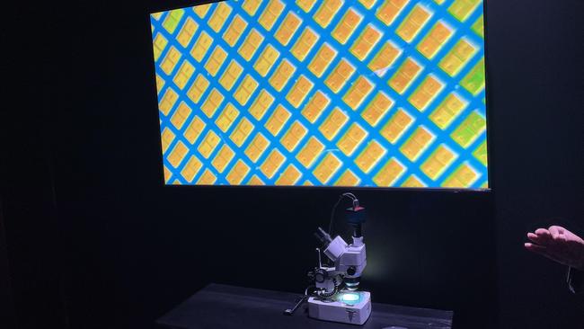 A microscope displays tiny “quantum mini LEDs” used with Samsung's premium range.