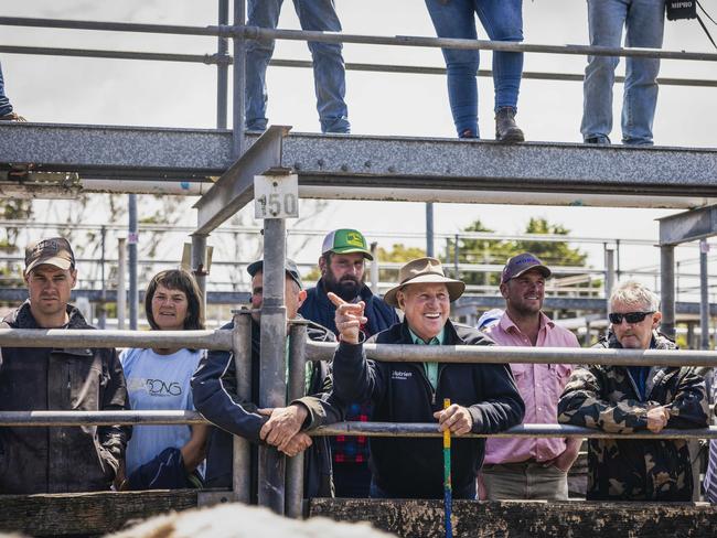 Buyers on the final day of the Warrnambool saleyards. Photo: Nicole Cleary