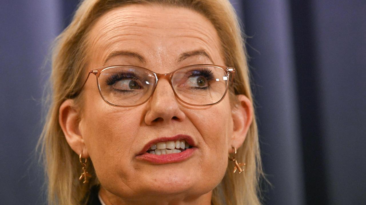 Sussan Ley’s position is far from assured