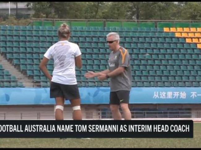 Sermanni named as interim Matildas coach