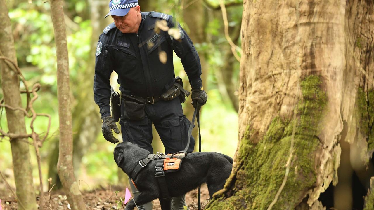 Strike Force Rosann detectives searching for William Tyrrell's remains in scrub off Batar Creek Rd, less than 900m from the Tyrrell's former family home at Kendall in 2021. Picture News Corp. / Trevor Veale