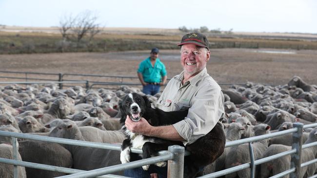 Garry Hansen at his Coomandook property with dog Perry. Picture: Tait Schmaal