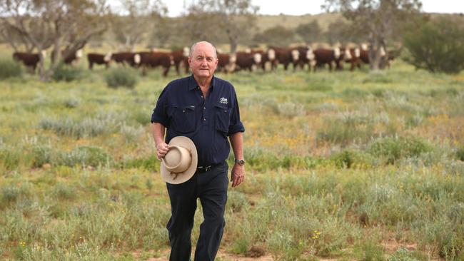 Organic Beef grazier David Brook with some of his heard behind. Picture: Lyndon Mechielsen/The Australian