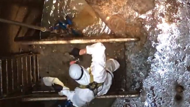 A snake catcher at work in a Brisbane sewer.