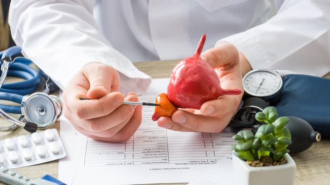 At doctors appointment physician shows to patient shape of prostate gland with focus on hand with organ.