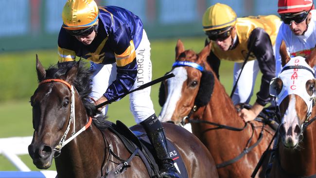 Mount Popa was a big firmer in feature-race markets after his win at Royal Randwick. Picture: AAP