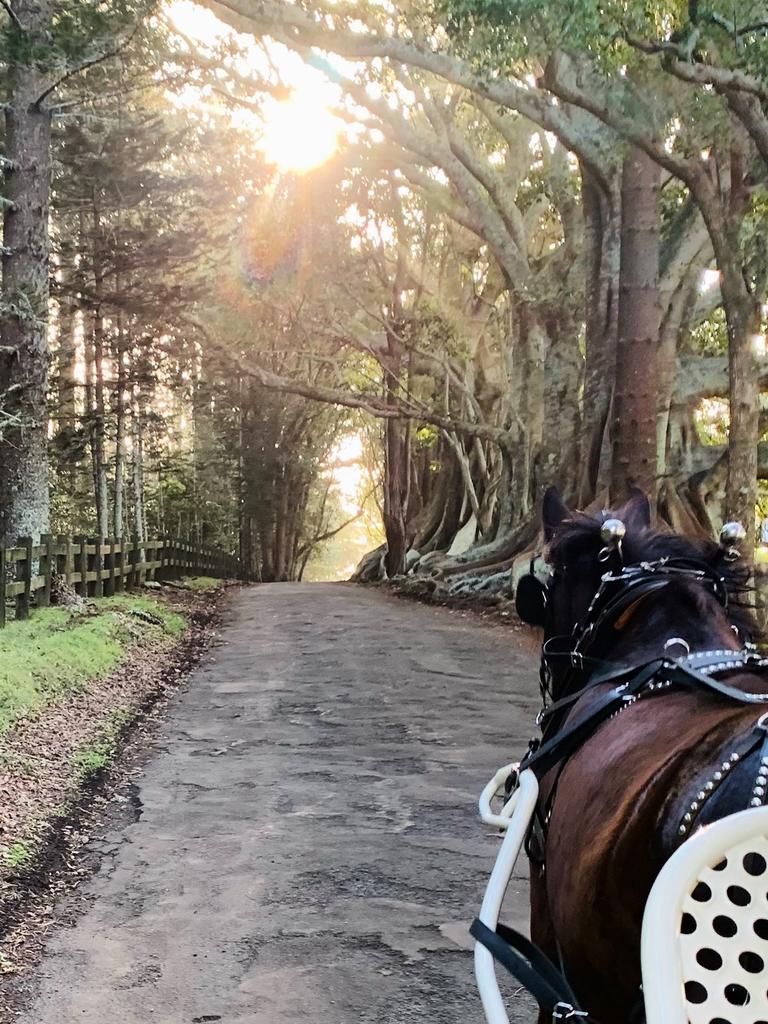 Norfolk Island: The Australian island that feels like another