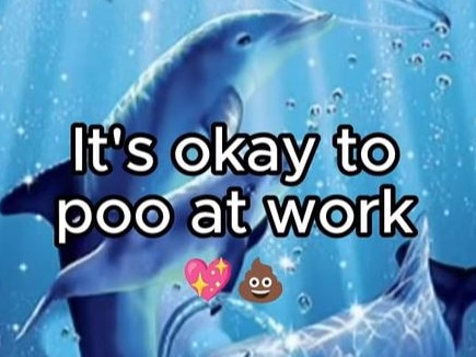 A post shared by Queensland Health to Instagram assuring its followerrs 'it's okay to poo at work'. Picture: Instagram