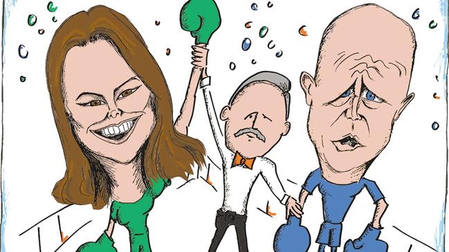 Sarah Hanson-Youngm David Leyonhjelm do battle. Artwork: Shaun Hollis