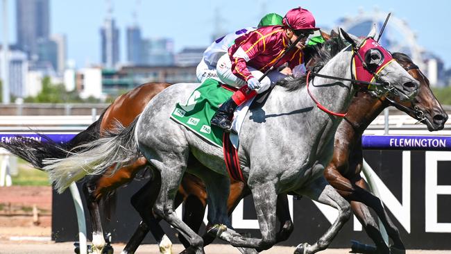 Blazejowski is a three-time winner at Flemington. Picture: AAP Images