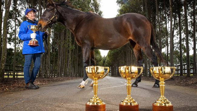 The 18-carat gold trophy will soon visit 33 destinations across Australia and overseas. Picture: Mark Stewart