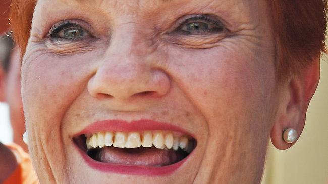 One Nation Leader Pauline Hanson amongst the party faithful at the Bunnings store Smithfield, Cairns, Sunday, November 19, 2017. Pauline Hanson is touring the state ahead of the Queensland state election next week. (AAP Image/Brian Cassey) NO ARCHIVING