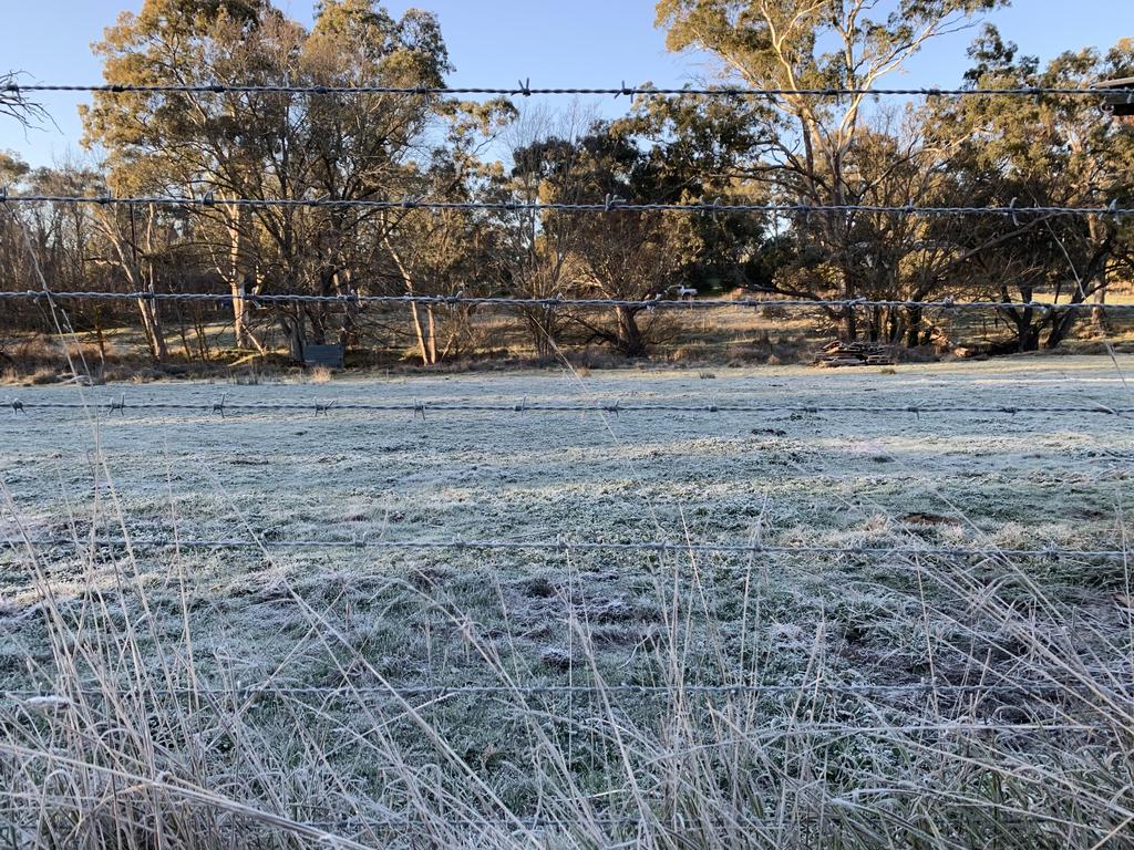 Frosty at Oakbank on Wednesday morning. Picture: Emily Dawe