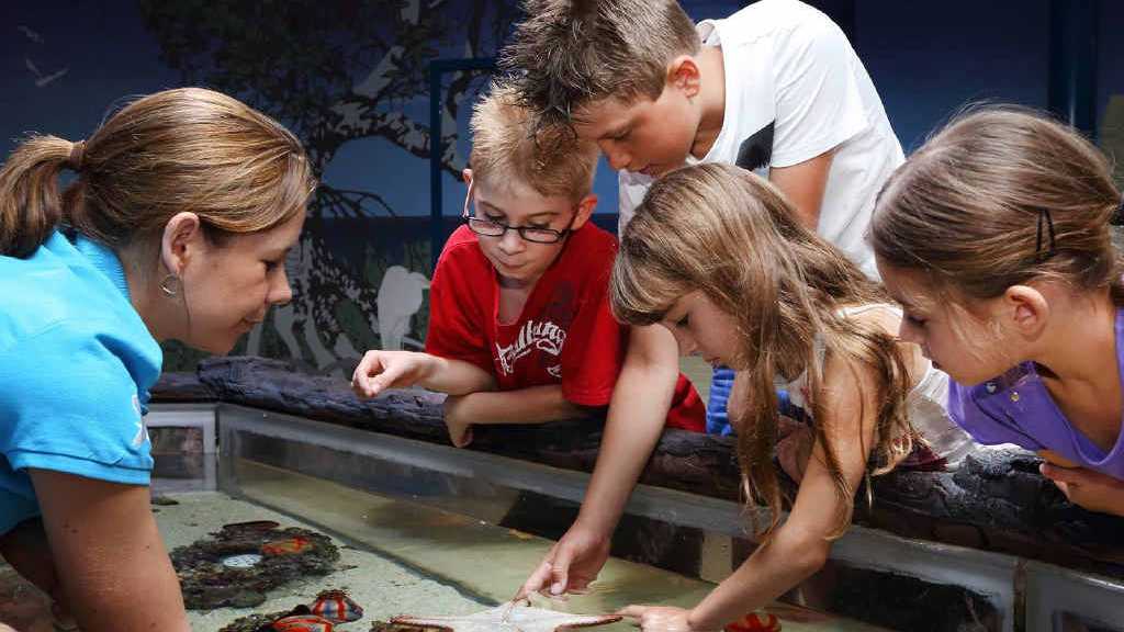 School Holiday Guide: Top 10 Coast Activity Ideas 